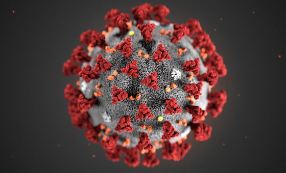 dentistes coronavirus